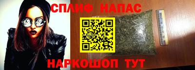 прущие грибы Гусев
